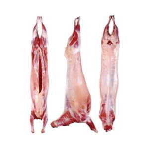 Kazakhstan Fresh 18-24kg frozen halal lamb mutton meat Carcass – BRAZILIAN CHICKEN S.I.F.