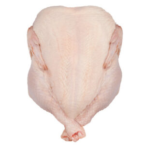 ,                       Whole Chicken (Griller)                         Exporter, Wholesaler, Supplier & Bulk Buy.                         20% OFF 1