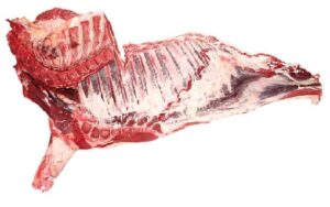 Frozen Beef Forequarter