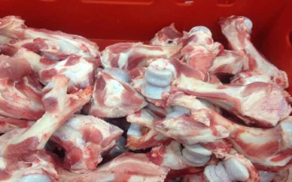 Frozen Pork Humerus Bones