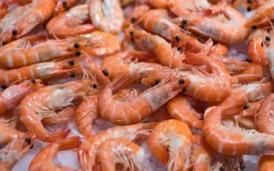 Frozen Prawns