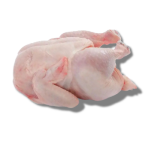 Fresh Whole Chicken 						, 					  			 			 		    				  					    				      				  					    				      				  					    				     			  		  				, 			 Frozen clean whole chicken without neck and giblets 		, 							 Brazil Chicken’s Fresh Halal Whole Chicken is h 5