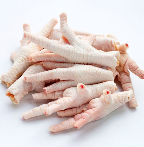 Frozen chicken paws suppliers - Image 2